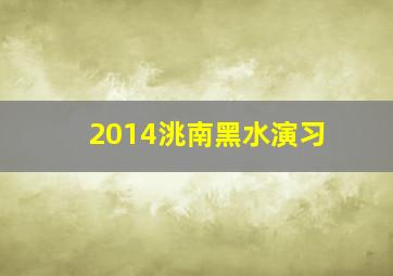 2014洮南黑水演习