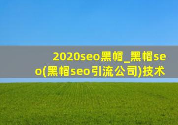 2020seo黑帽_黑帽seo(黑帽seo引流公司)技术