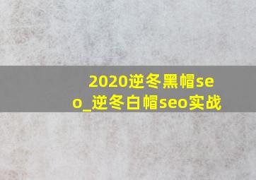 2020逆冬黑帽seo_逆冬白帽seo实战