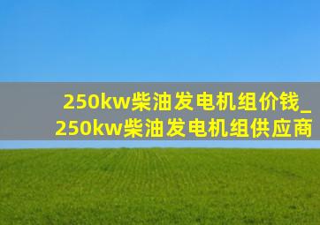 250kw柴油发电机组价钱_250kw柴油发电机组供应商