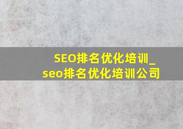 SEO排名优化培训_seo排名优化培训公司