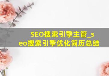 SEO搜索引擎主管_seo搜索引擎优化简历总结