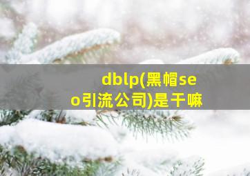 dblp(黑帽seo引流公司)是干嘛