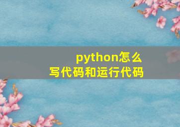 python怎么写代码和运行代码