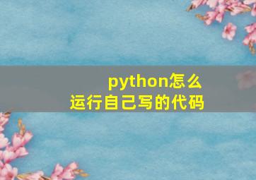 python怎么运行自己写的代码