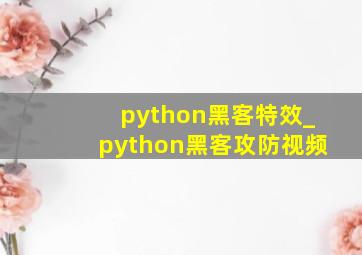 python黑客特效_python黑客攻防视频