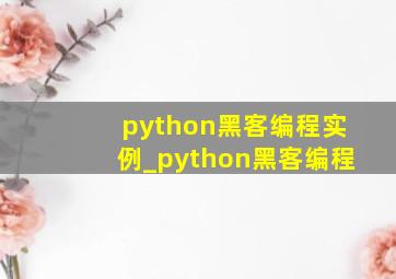 python黑客编程实例_python黑客编程