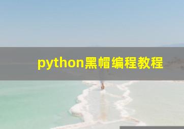 python黑帽编程教程