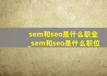 sem和seo是什么职业_sem和seo是什么职位