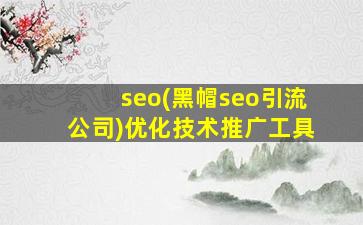 seo(黑帽seo引流公司)优化技术推广工具