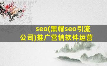 seo(黑帽seo引流公司)推广营销软件运营