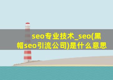 seo专业技术_seo(黑帽seo引流公司)是什么意思
