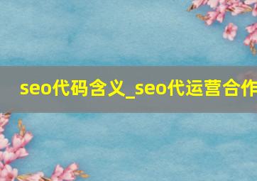 seo代码含义_seo代运营合作
