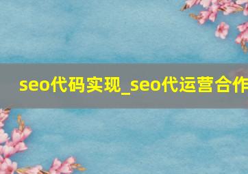 seo代码实现_seo代运营合作