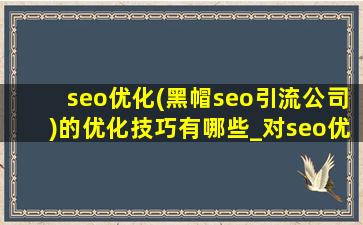 seo优化(黑帽seo引流公司)的优化技巧有哪些_对seo优化及程序优化的看法
