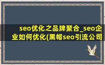 seo优化之品牌聚合_seo企业如何优化(黑帽seo引流公司)