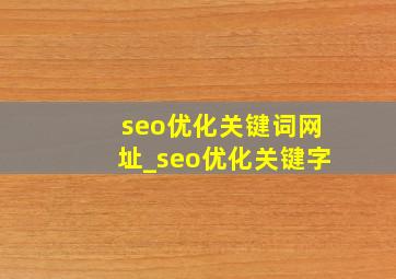 seo优化关键词网址_seo优化关键字