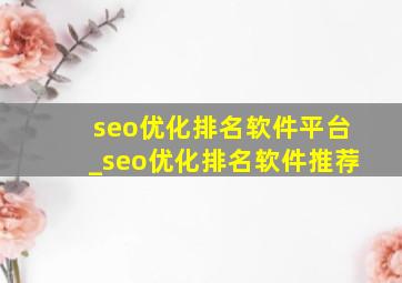 seo优化排名软件平台_seo优化排名软件推荐