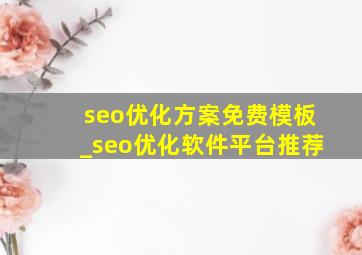 seo优化方案免费模板_seo优化软件平台推荐