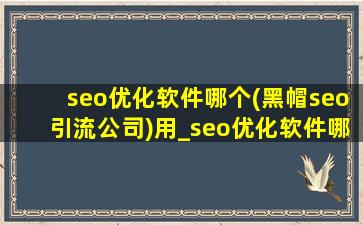 seo优化软件哪个(黑帽seo引流公司)用_seo优化软件哪个好