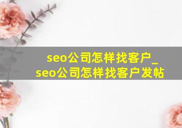 seo公司怎样找客户_seo公司怎样找客户发帖