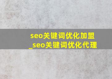 seo关键词优化加盟_seo关键词优化代理