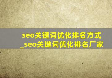 seo关键词优化排名方式_seo关键词优化排名厂家