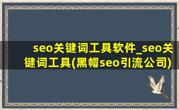 seo关键词工具软件_seo关键词工具(黑帽seo引流公司)