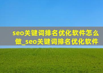 seo关键词排名优化软件怎么做_seo关键词排名优化软件