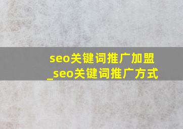 seo关键词推广加盟_seo关键词推广方式