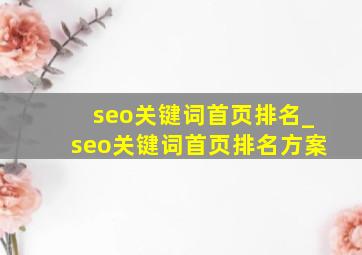 seo关键词首页排名_seo关键词首页排名方案