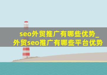seo外贸推广有哪些优势_外贸seo推广有哪些平台优势