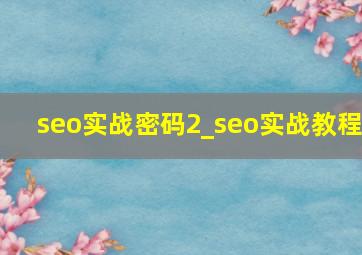 seo实战密码2_seo实战教程