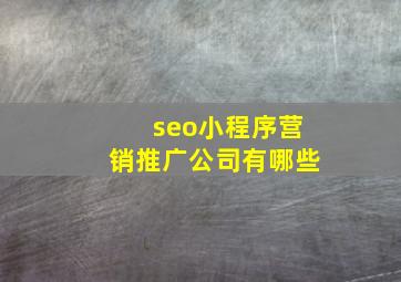 seo小程序营销推广公司有哪些