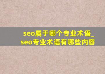 seo属于哪个专业术语_seo专业术语有哪些内容