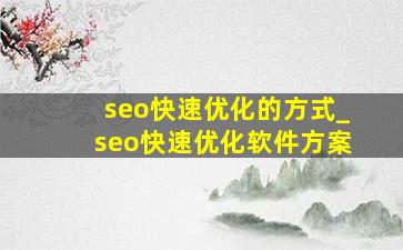 seo快速优化的方式_seo快速优化软件方案