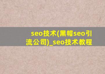 seo技术(黑帽seo引流公司)_seo技术教程