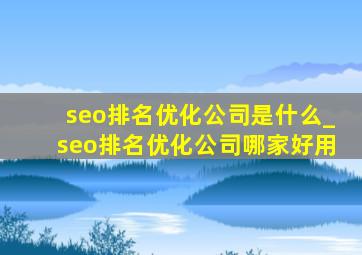 seo排名优化公司是什么_seo排名优化公司哪家好用