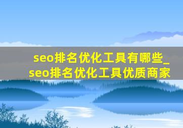 seo排名优化工具有哪些_seo排名优化工具优质商家