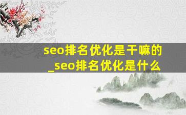 seo排名优化是干嘛的_seo排名优化是什么
