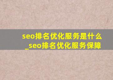 seo排名优化服务是什么_seo排名优化服务保障