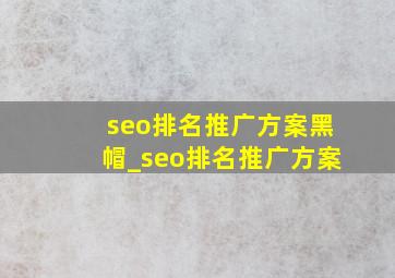 seo排名推广方案黑帽_seo排名推广方案