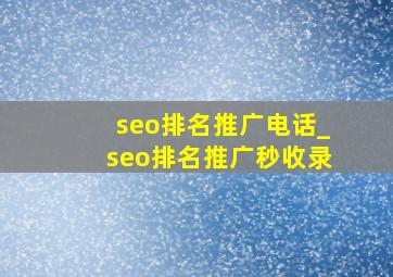 seo排名推广电话_seo排名推广秒收录