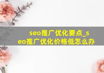 seo推广优化要点_seo推广优化价格低怎么办