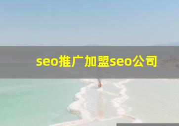 seo推广加盟seo公司