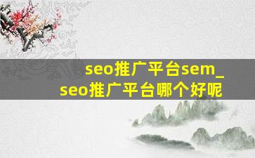 seo推广平台sem_seo推广平台哪个好呢