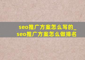 seo推广方案怎么写的_seo推广方案怎么做排名