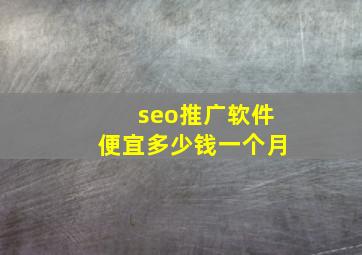 seo推广软件便宜多少钱一个月