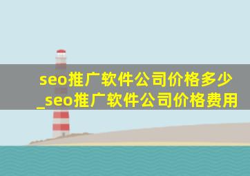 seo推广软件公司价格多少_seo推广软件公司价格费用