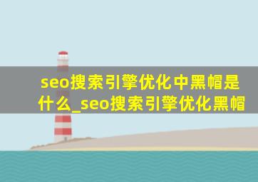 seo搜索引擎优化中黑帽是什么_seo搜索引擎优化黑帽